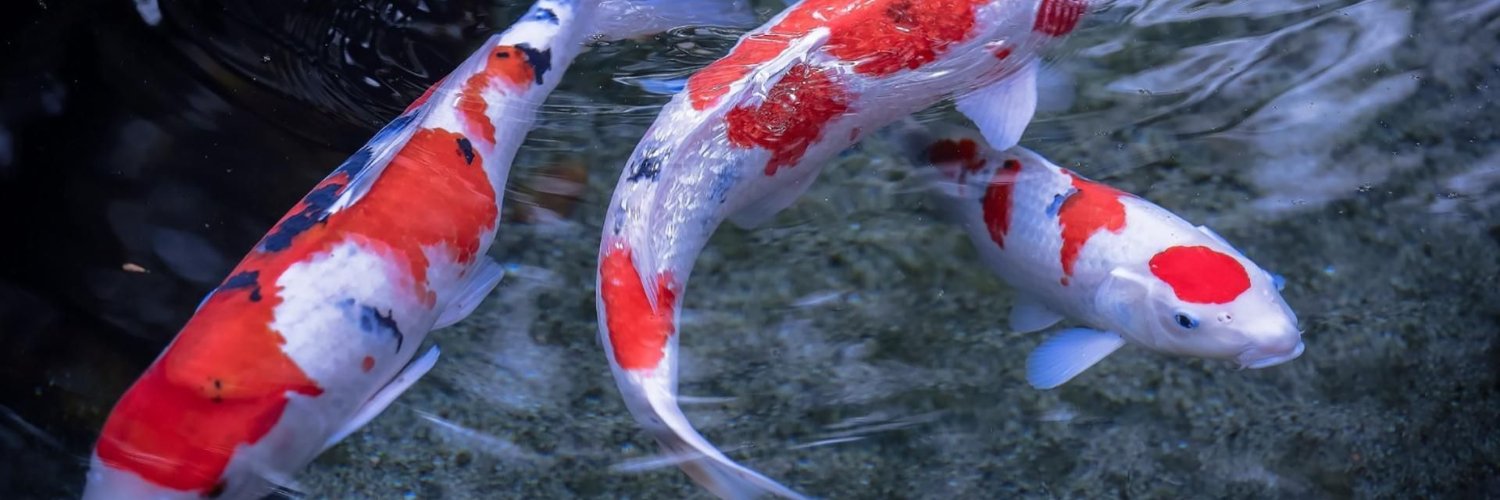 billydeemarcus's profile banner image