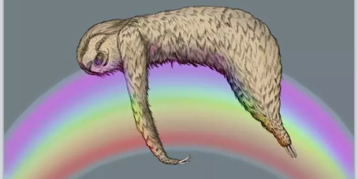 SophFauteux's profile banner image