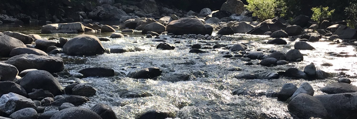 Learning with Ms. A banner