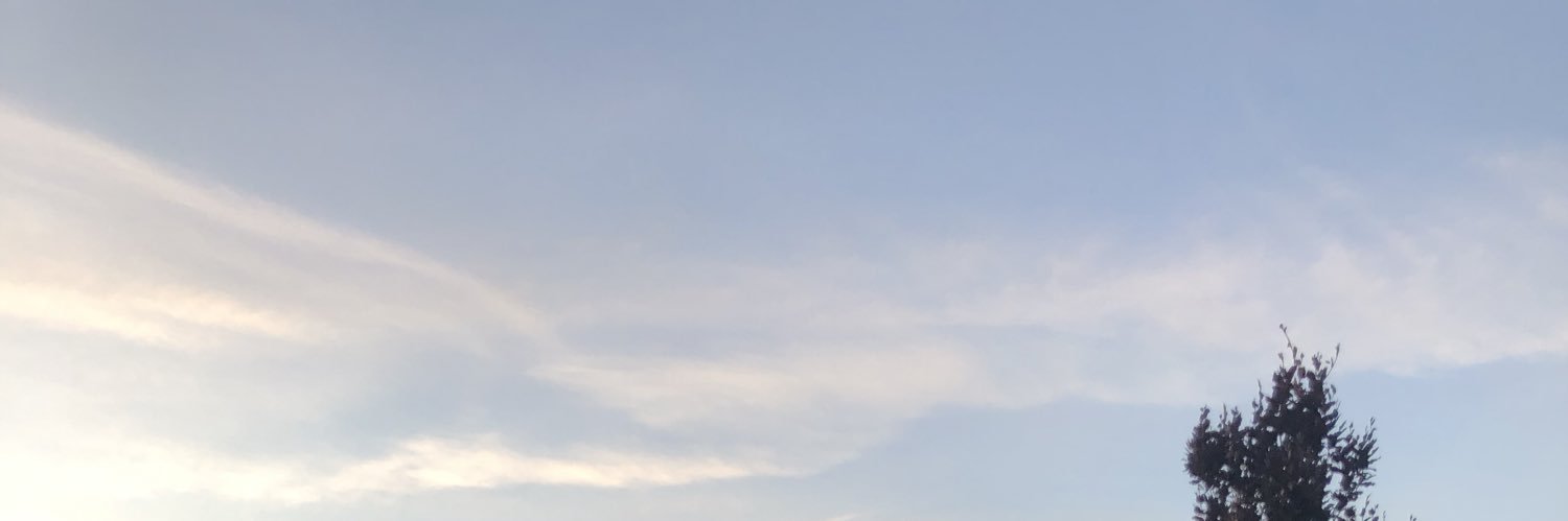 rubondese's profile banner image