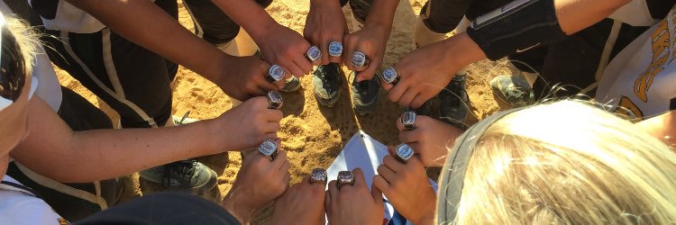 Wheatland Spikes 18u banner