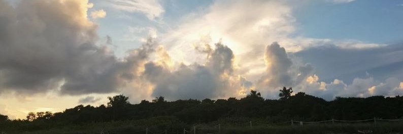 feklips's profile banner image