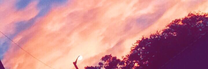 charlyannee's profile banner image
