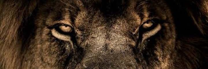 riurickswidin's profile banner image