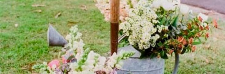 Mariona banner