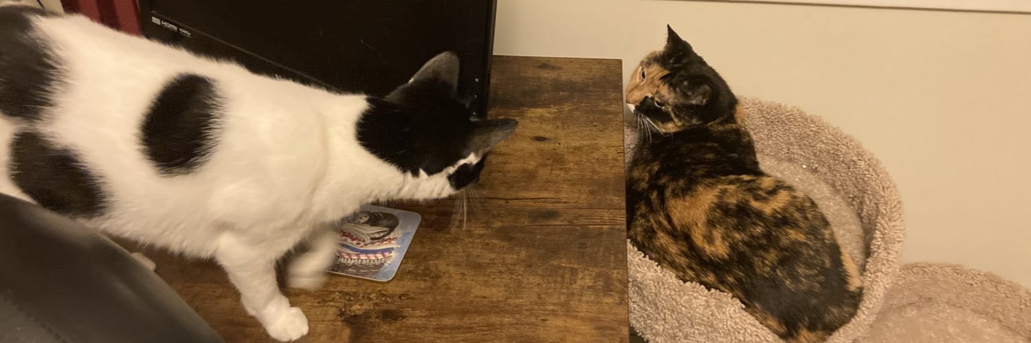 Trumpet Matt 🎺 banner