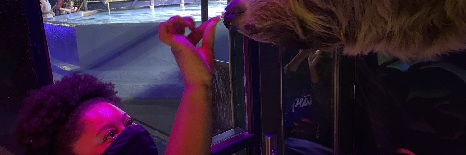 TheeBoogieDown's profile banner image