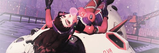 EricaWazlib's profile banner image