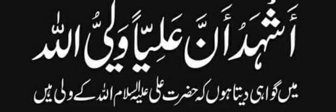 Sayed Shehzad Haider Abidi banner