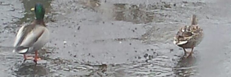 charcoop14's profile banner image