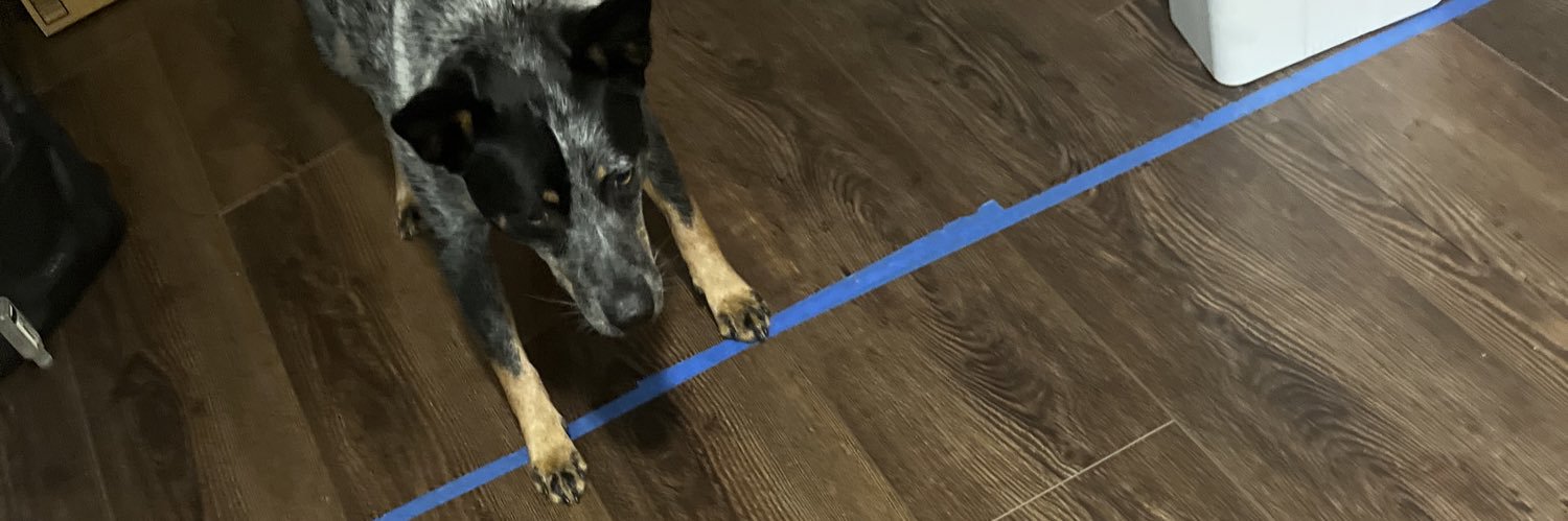 Tom Biro 🥑 banner