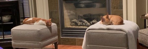 BLynneHolden Profile Banner