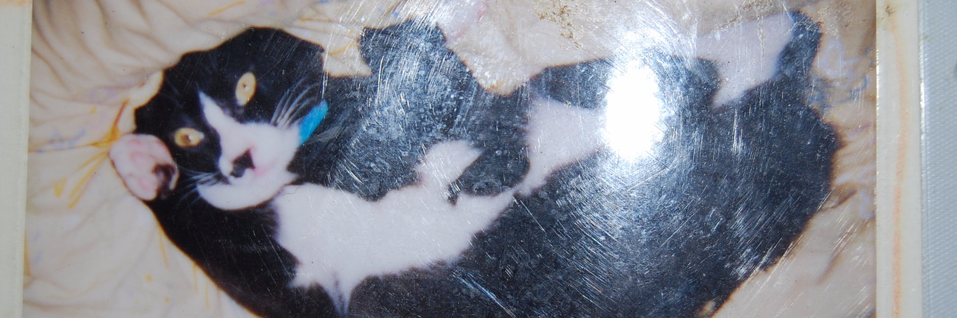 muchio✨貴方の生活習慣病を改善するナチュラルフードコーディネーター✨ banner