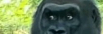 borntotease_'s profile banner image