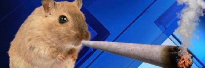 skooma_qq's profile banner image