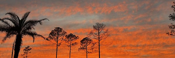 supatmiaa Profile Banner