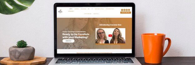 KatieCoconutBox's profile banner image