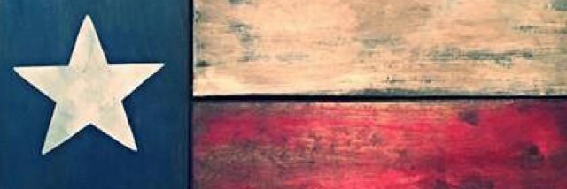 GingaNinjaTx's profile banner image