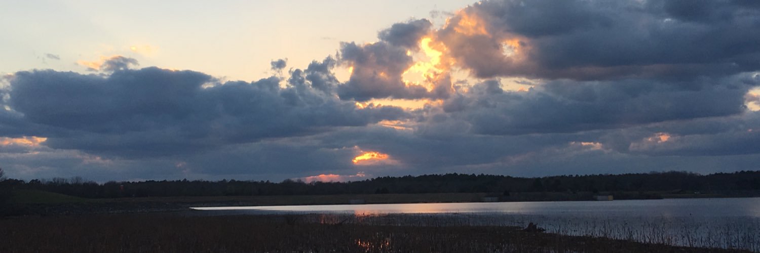MeganPartain's profile banner image
