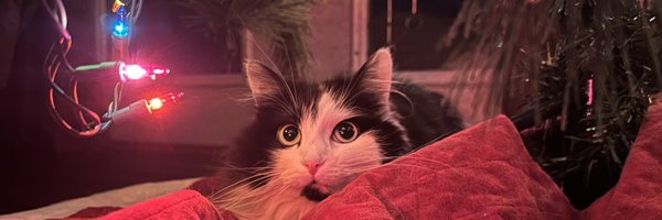 maaranelson Profile Banner