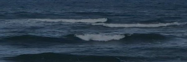 2has_ Profile Banner