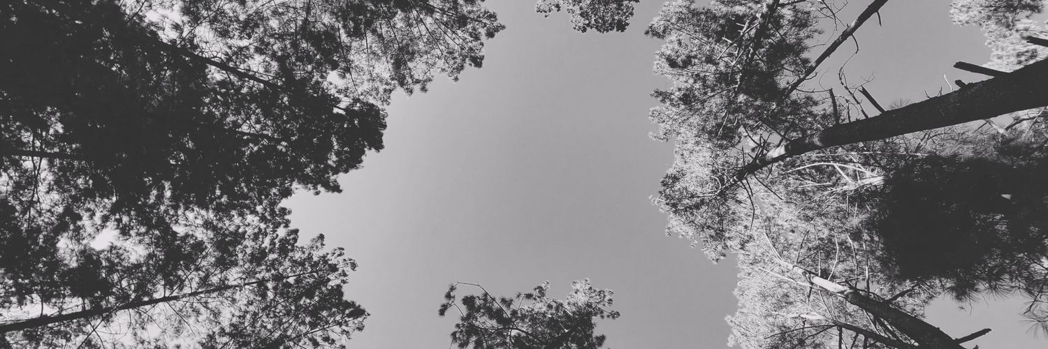 orfabcal's profile banner image