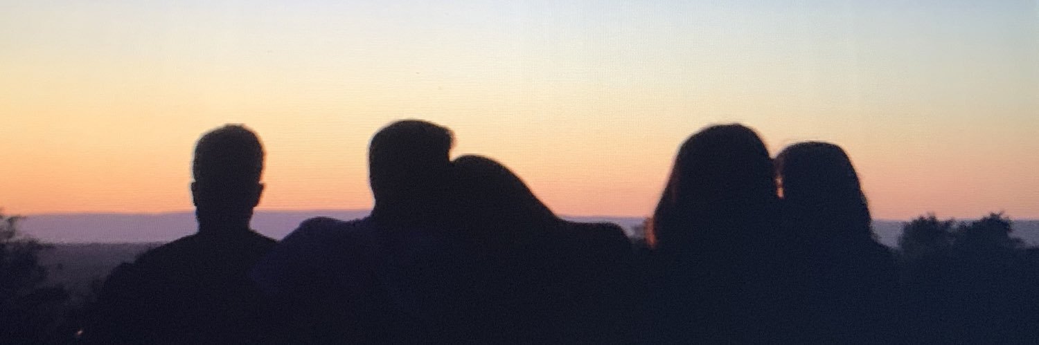 displacedvolfan's profile banner image