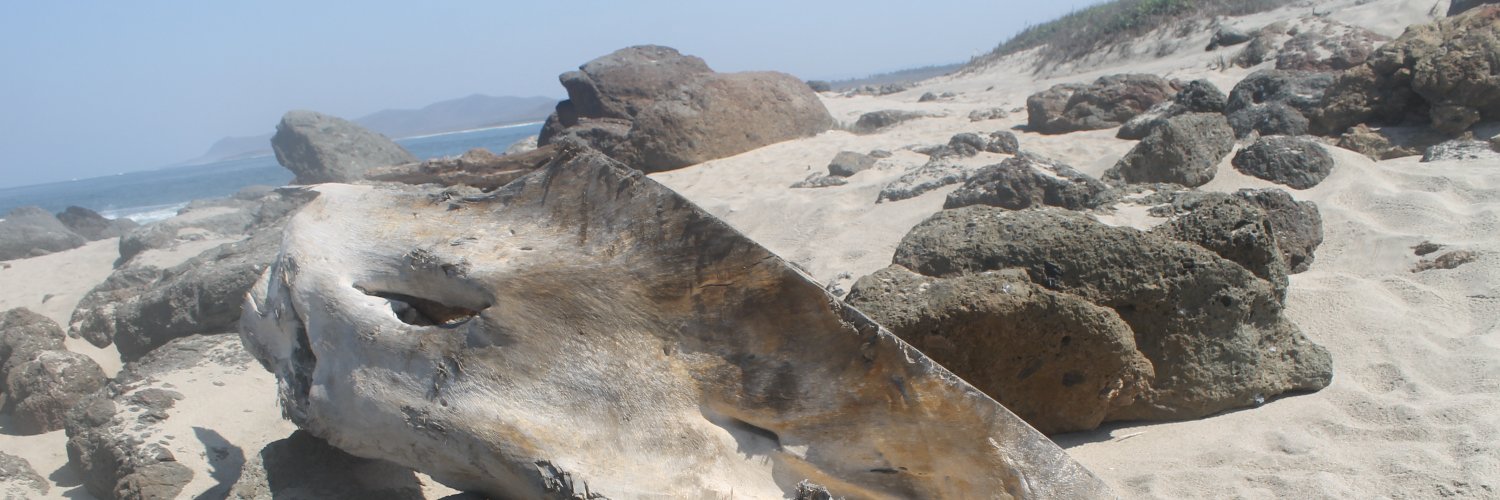 LICENCIAGRIO's profile banner image