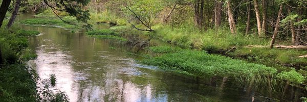 andypgrace Profile Banner