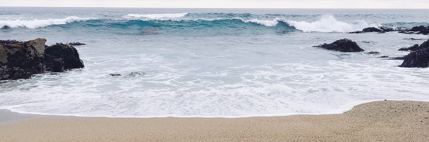 FranRioseco's profile banner image