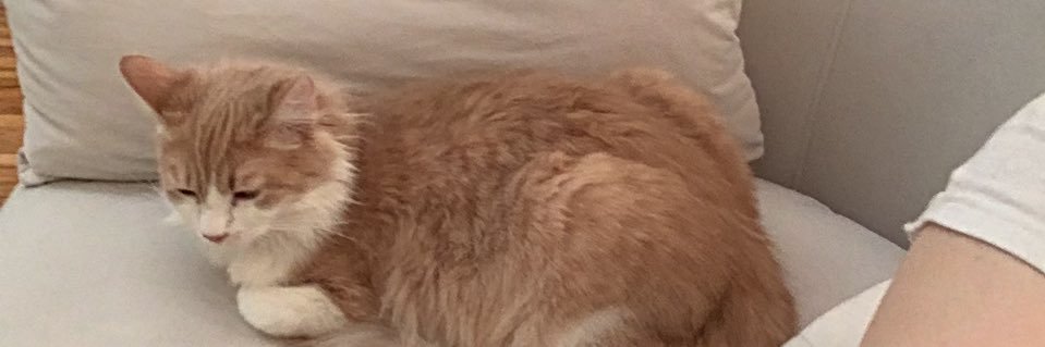 𝒦𝓎𝓁𝑒𝑒 banner