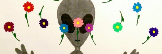 Kmila_pollo's profile banner image