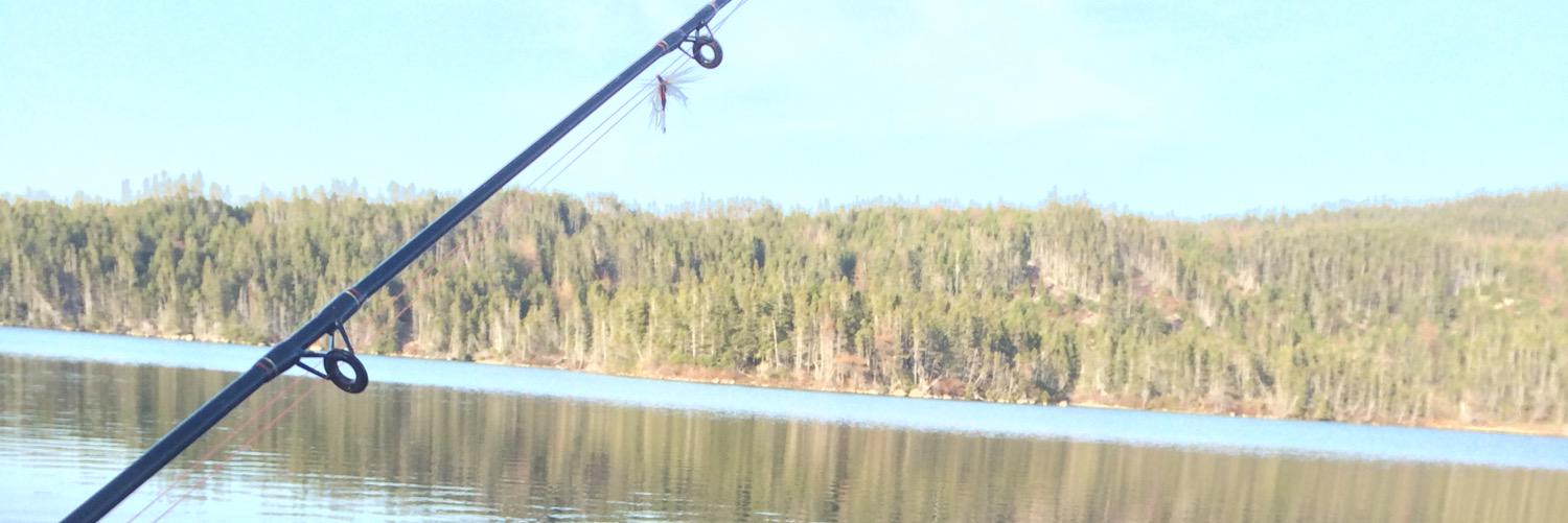 ryanpeters4_'s profile banner image