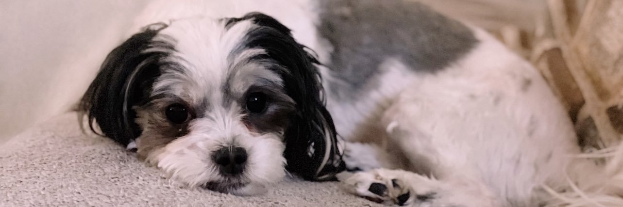 jdavids01's profile banner image