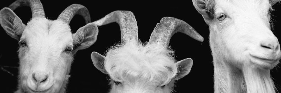 Q u i a n n a. banner