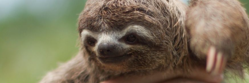 Alex_kiker_'s profile banner image