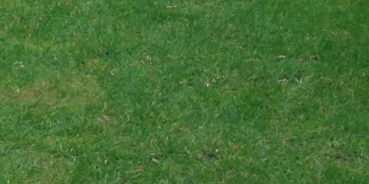PopBoylesen's profile banner image