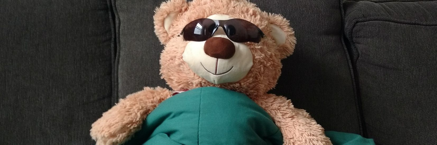William the Canadian 🇨🇦❤️‍🩹💔🐻 banner