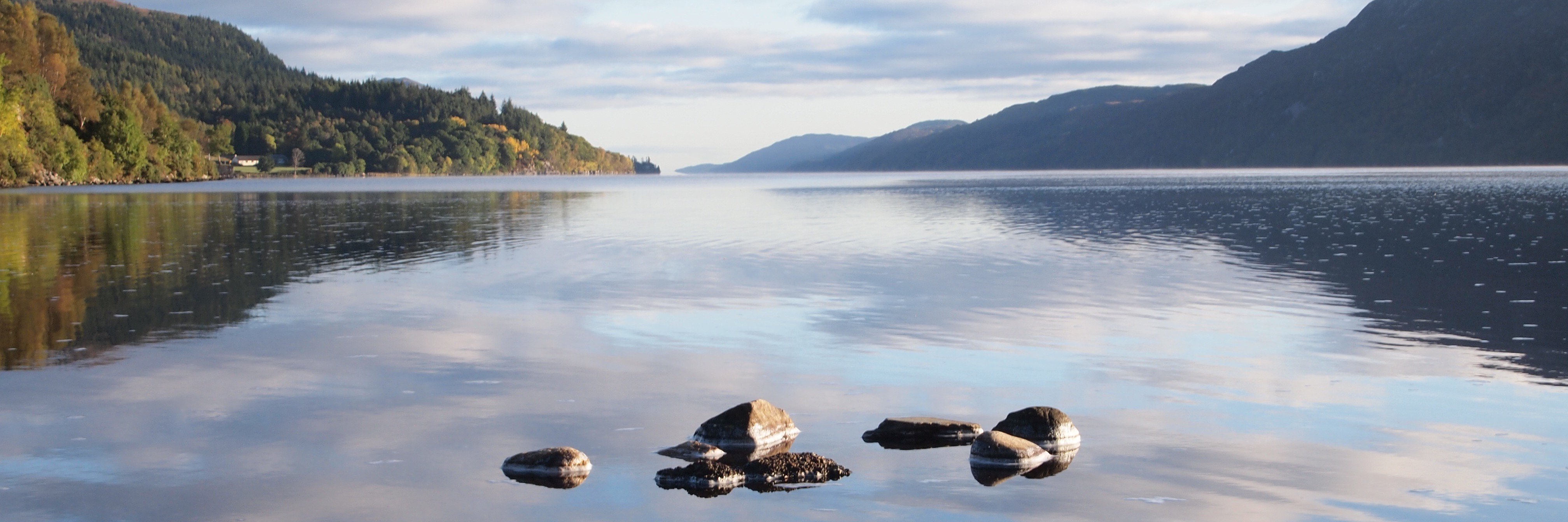ewanwillison's profile banner image