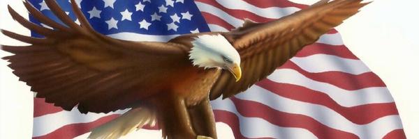 rae_ring Profile Banner