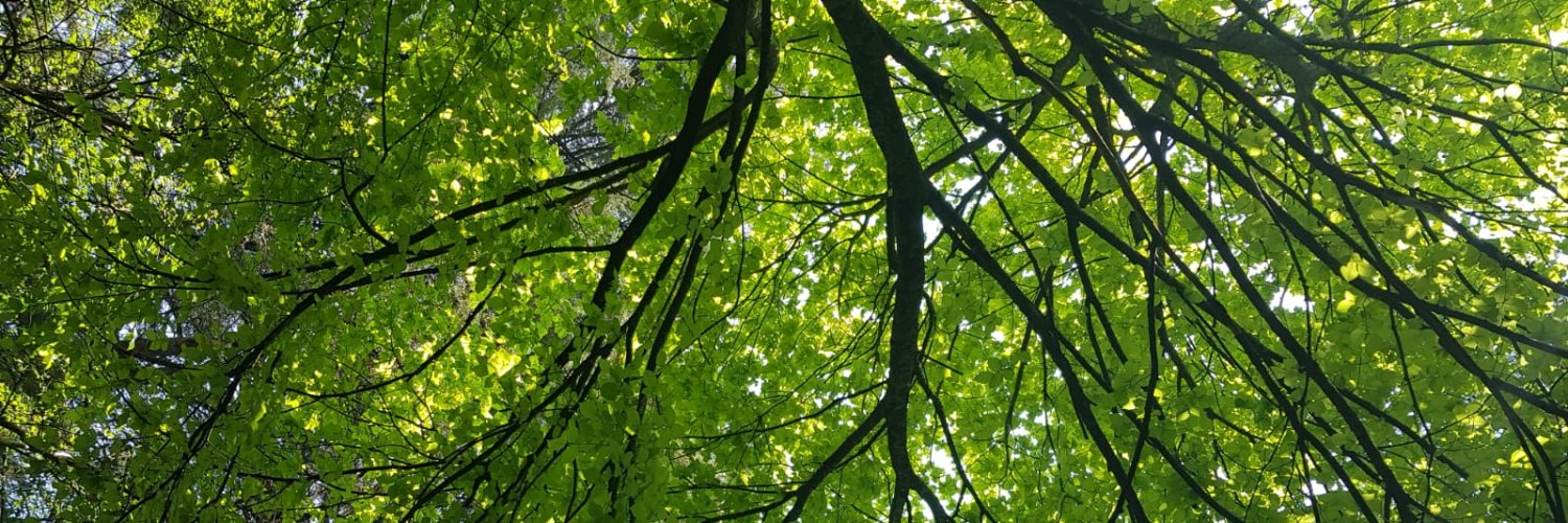 Greener Identity banner