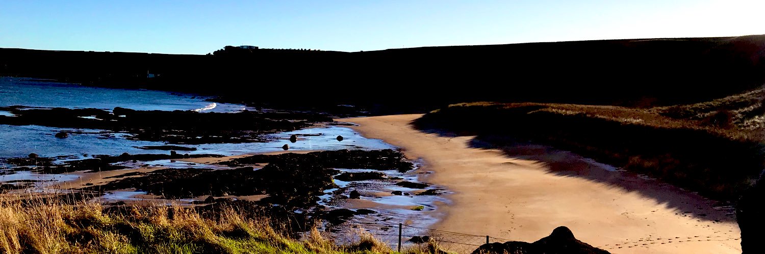 Dr. Pamela Rackow banner