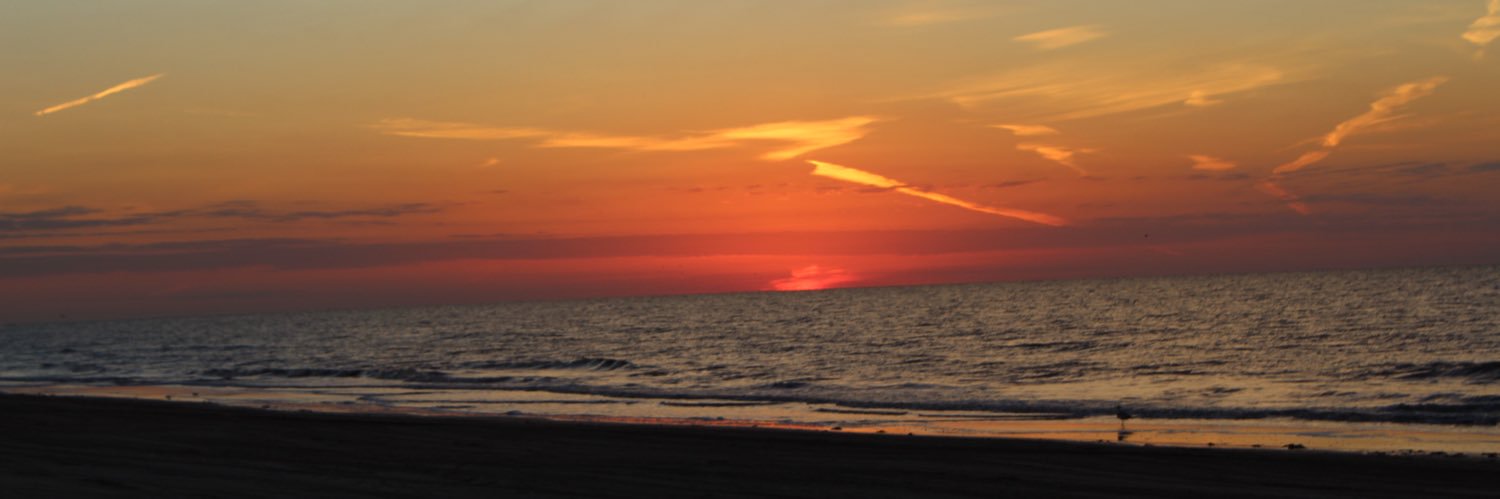 JoAnneBeiermann's profile banner image