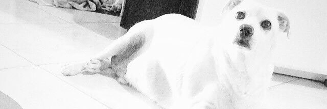 EveLLyn_J's profile banner image