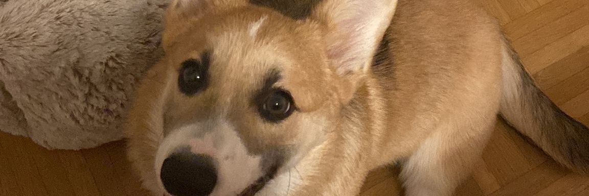 GenesisNataly's profile banner image