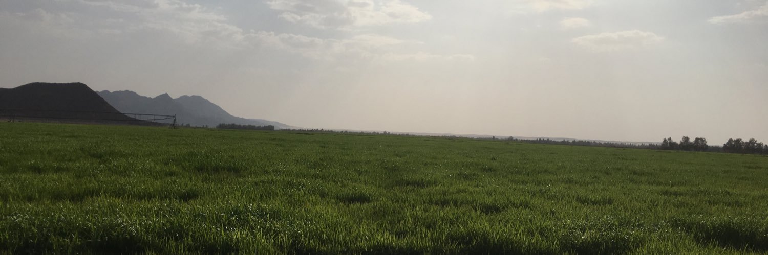 abdalmlek_abo's profile banner image