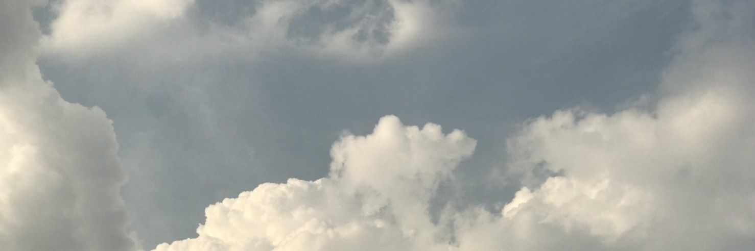 🦋 banner