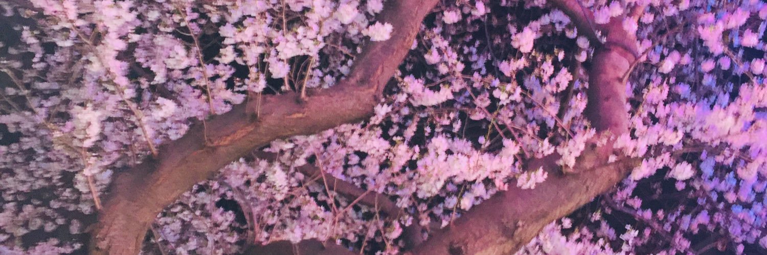 raburesu99_love's profile banner image