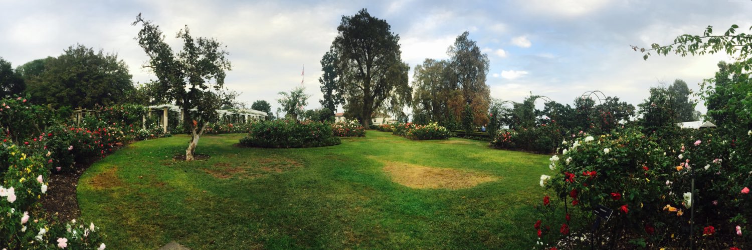 catherine goldstead banner