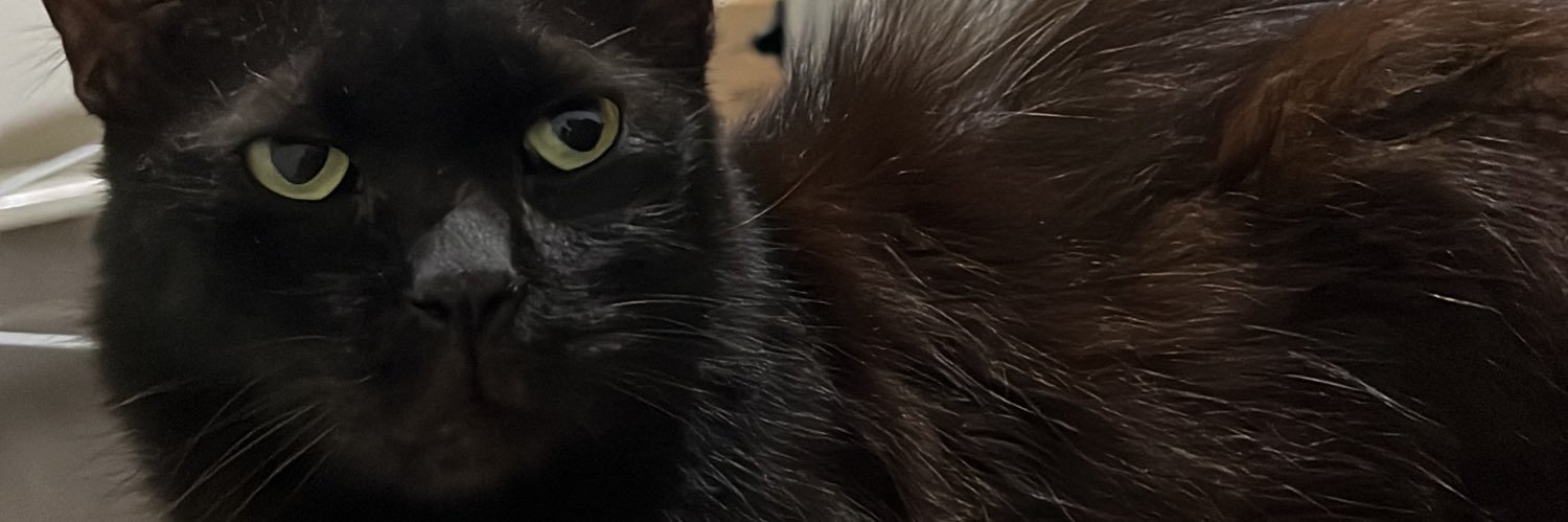 Salza Annisa P. banner